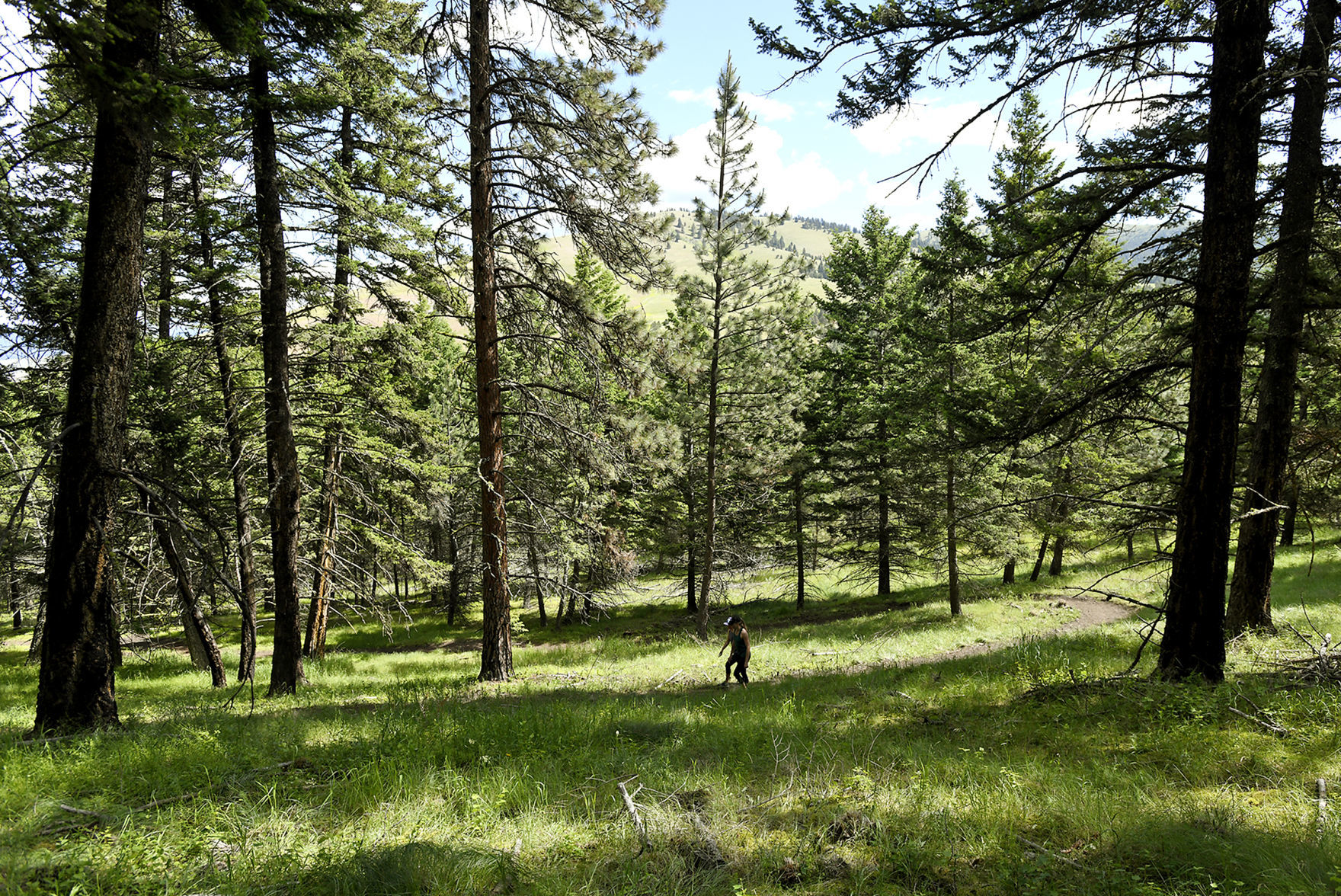 Barmeyer Loop Trail 2